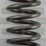 Valve Spring TOYOTA 1ZZ-FE VS1050 - Nason