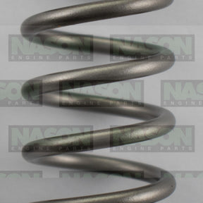 Valve Spring HYUNDAI D4FB DOHC 16V VS1054 - NASON