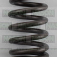 Valve Spring HOLDEN F16D4 F18DH DOHC 16V VS1058 - NASON
