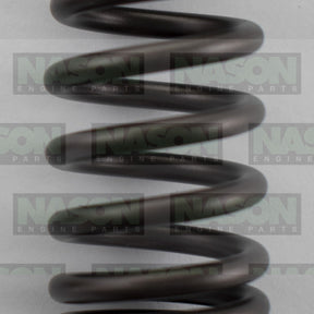 Valve Spring HOLDEN F16D4 F18DH DOHC 16V VS1058 - NASON