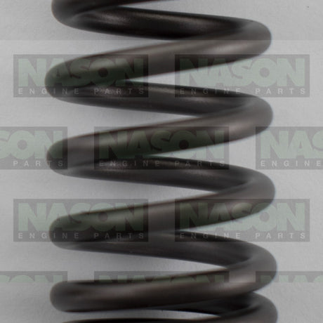 Valve Spring HOLDEN F16D4 F18DH DOHC 16V VS1058 - Nason