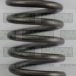 Valve Spring TOYOTA B 3B 13B 14B INNER VS1061 - NASON