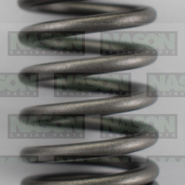 Valve Spring HOLDEN DAEWOO A16DMS F16D3 VS1063 - NASON
