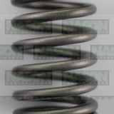 Valve Spring HOLDEN DAEWOO A16DMS F16D3 VS1063 - Nason