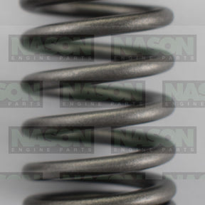 Valve Spring HOLDEN DAEWOO A16DMS F16D3 VS1063 - NASON