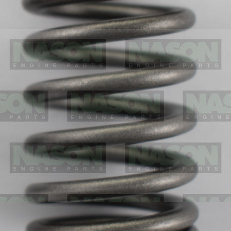 Valve Spring HOLDEN DAEWOO A16DMS F16D3 VS1063 - Nason