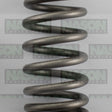Valve Spring HYUNDAI KIA G4FA G4FC VS1067 - NASON
