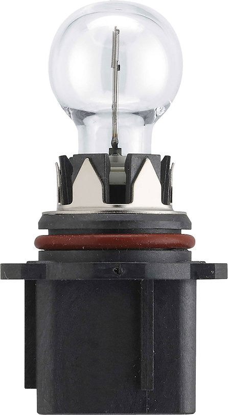 Halogen Globe P13W Box Fog Light High Beam - Motolite