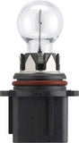 Halogen Globe P13W Box Fog Light High Beam - Motolite