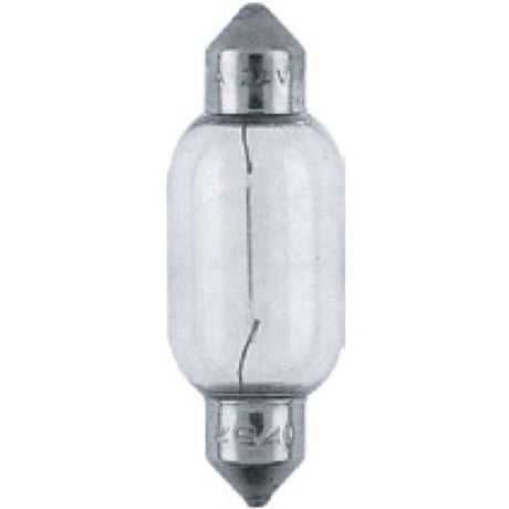 Globe 10 Piece Festoon 10W 12V S V 8.5-8 - Motolite