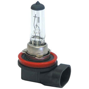 Headlamp Globes H11 55w Halogen Globe Halogen - Motolite