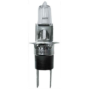 Globe H1 & HC3 2 Terminal Halogen - Motolite