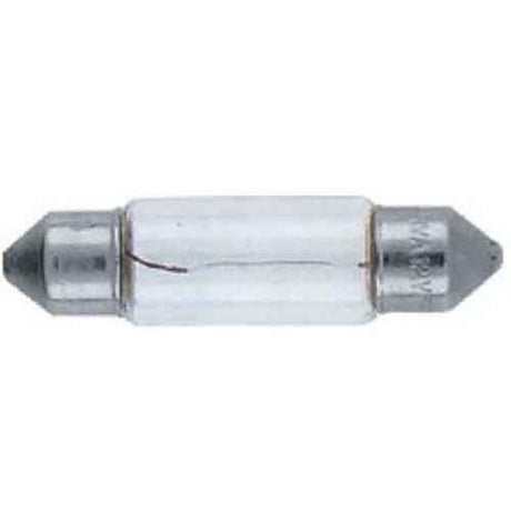 Globe 10 Piece Festoon 3W 12V S V 7-8 - Motolite