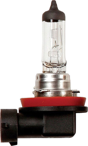 Halogen Headlight Globe H8 Box - Motolite